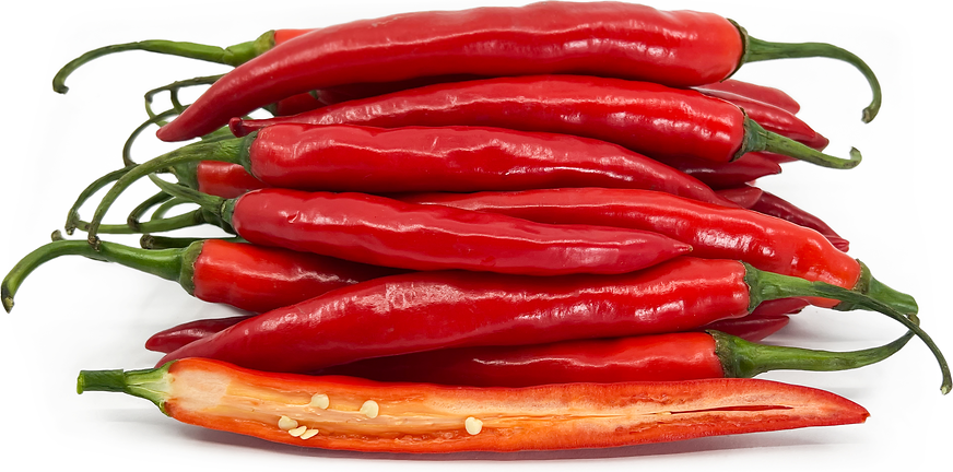 Red Chili