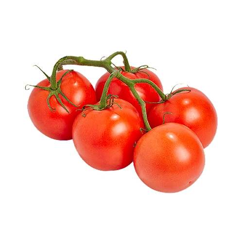 TOMATO VINE