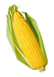 Sweet Corn on the Cobb