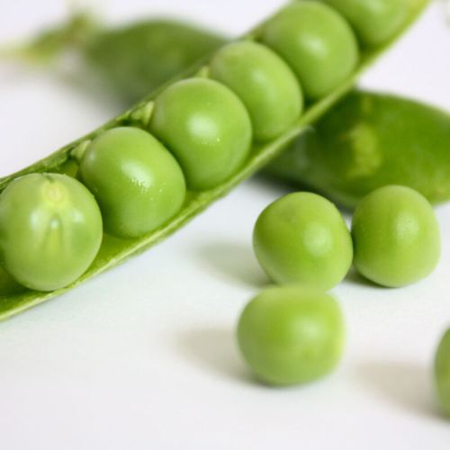 Sweet Pea