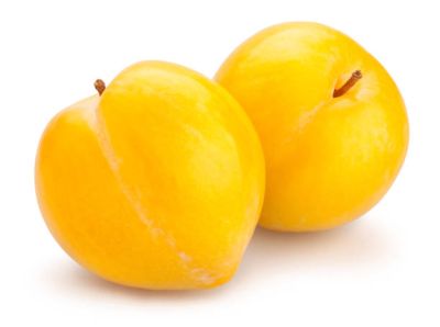 Yellow Plum (Basket)