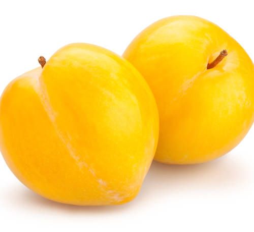 Yellow Plum (Basket)